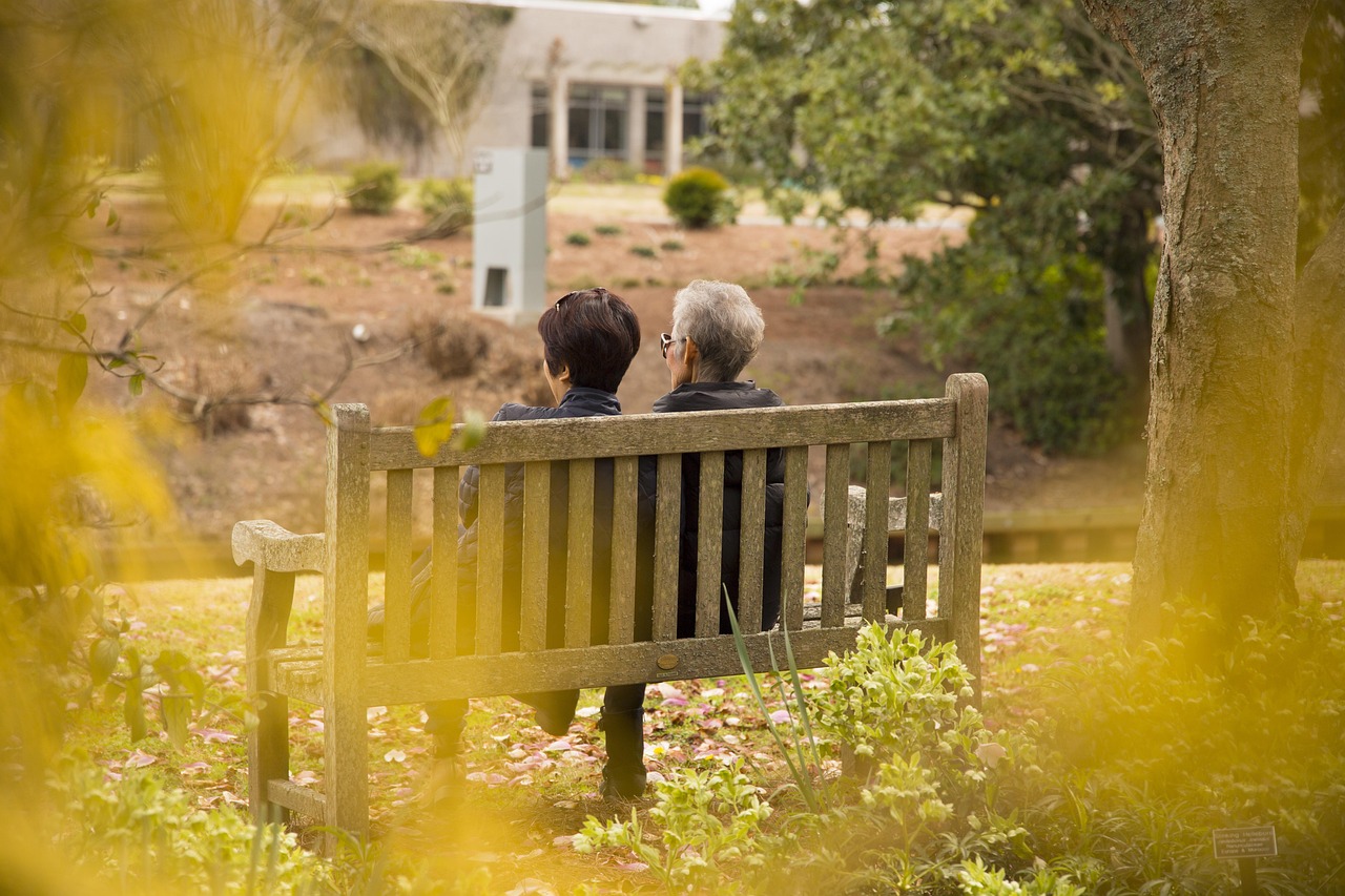 Two women sitting on a park bench, seen from behind, representing kinship