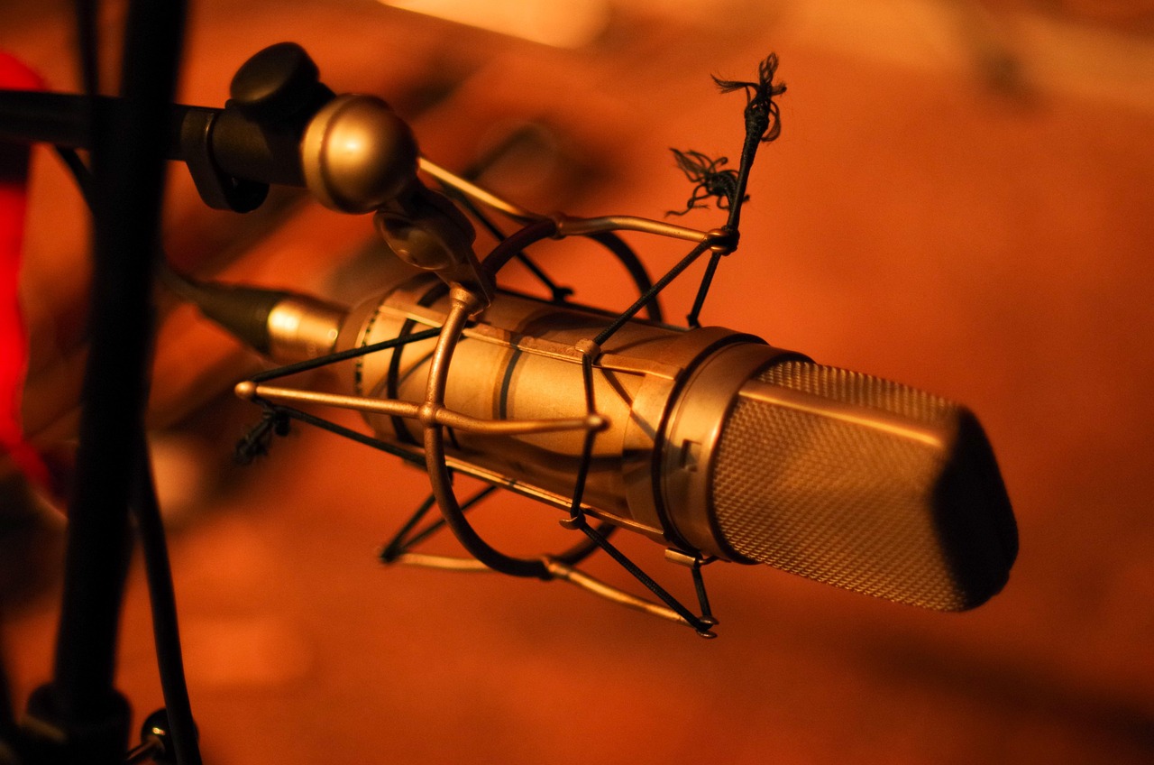 A professional condenser microphone on a stand used for podcast recording