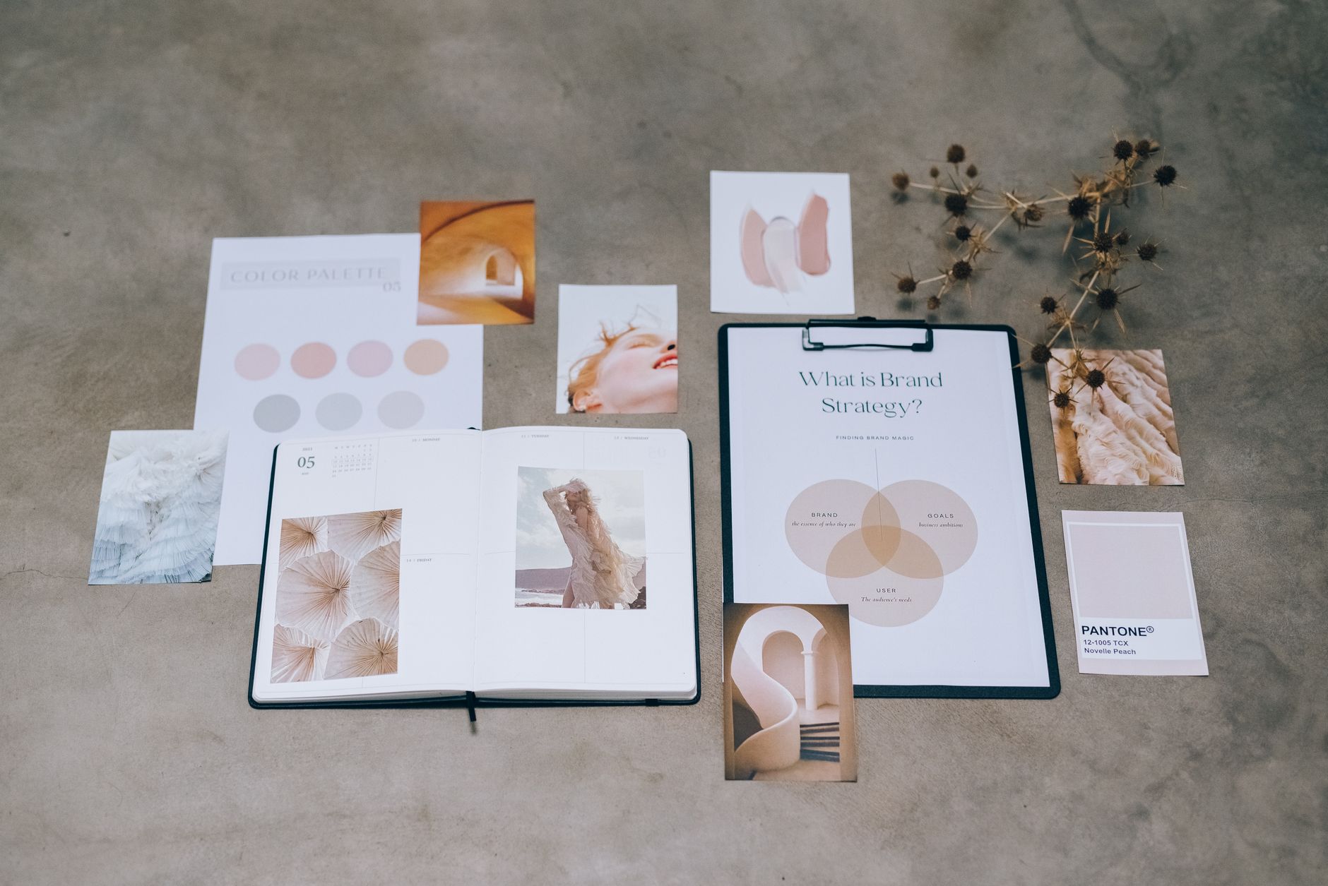 Branding mood board with color palettes, images, and brand strategy document on concrete