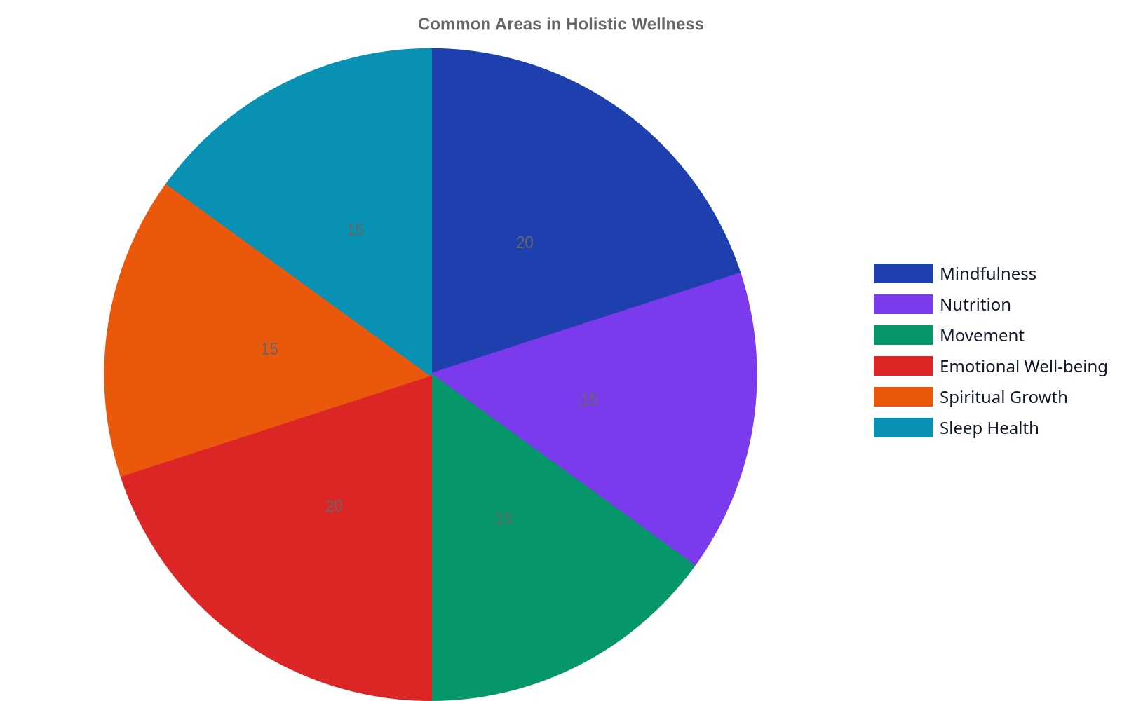 Pie chart showing common areas in holistic wellness, including mindfulness, nutrition, movement, emotional well-being, spiritual growth, and sleep health.